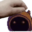 pet_dwarf