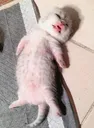 uuuggghhhhh