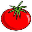 Tomato