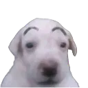 huh