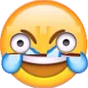 laughingandcrying Discord Emoji