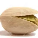 funnynut Discord Emoji