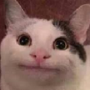 beluga Discord Emoji - AI CHATBOT MASTER 《🏷 100k+ Guild TAGS》┇ social ⋆ gaming ⋆ anime ⋆ chill ⋆ emotes⭑tech⭑[Character.AI]