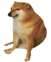 Dogesad DogeSad Discord Emoji