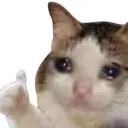 Thumbsupcat thumbsupcat Discord Emoji