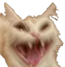 h_rindo