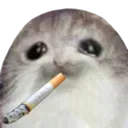 marlbobo