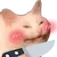 catknife