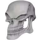 Skroll