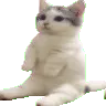 catsittingverycomfortablearound3