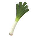 Leek