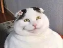 hinhmememeocuoideu