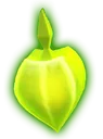bloomge