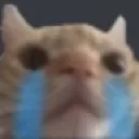 catcry_xykizumadethis Discord Emoji