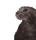 Moisture