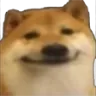 blushydoggo