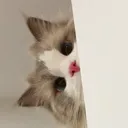 peek