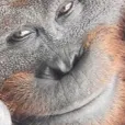 monkejester monkejester