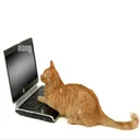 Gatobuscador