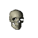spinningskull2