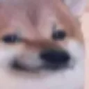 duog_FSI