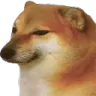 Doge