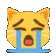 cat_cry