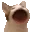 bop