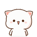 gl_teddy_yaya