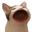 pogcat