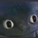 ayo