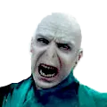 VoldBuddy VoldBuddy