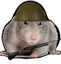 AB_rat