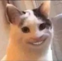 SMILING_CAT