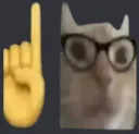 Nerd Cat Nerdcat Discord Emoji