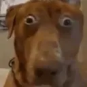 guh