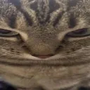 emoji_6 emoji_6