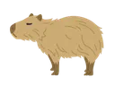 CapybaraSide