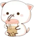 mocha