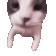 cat Discord Emoji