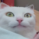 fearcat custom emote from Heavy-Craft Reloaded