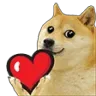 dogelove dogelove