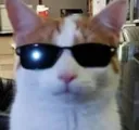 Capturadepantalla20230309150338
