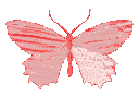 ButterflyaRed