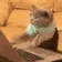 HackerKitty
