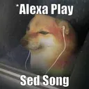 alexa_sad