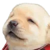 lejoro