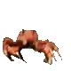 crabrave47