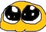 C0_pleading