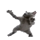 CatDance Discord Emoji